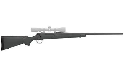 Remington REM R84601