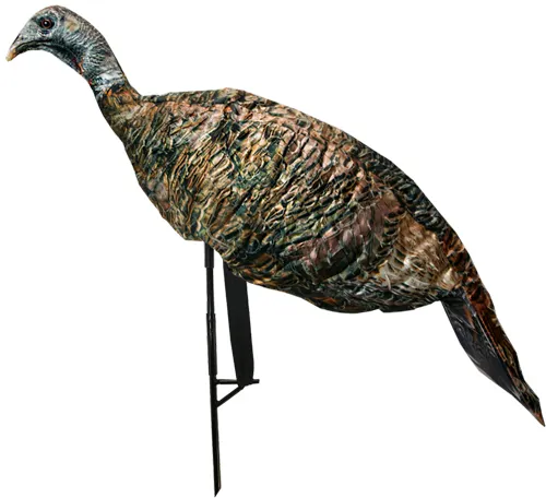 Montana Decoy Company MONTANA DECOY TURKEY MISS PURR-FECT XD 3D HEN