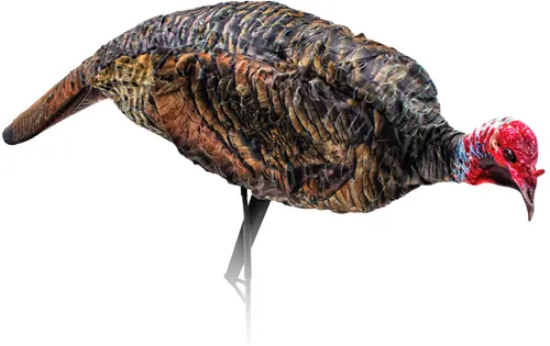 Montana Decoy Company MONTANA DECOY TURKEY JAKE PURR-FECT XD