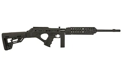 Standard Mfg STD MANF G4S 22LR 16.1" 10RD BLK